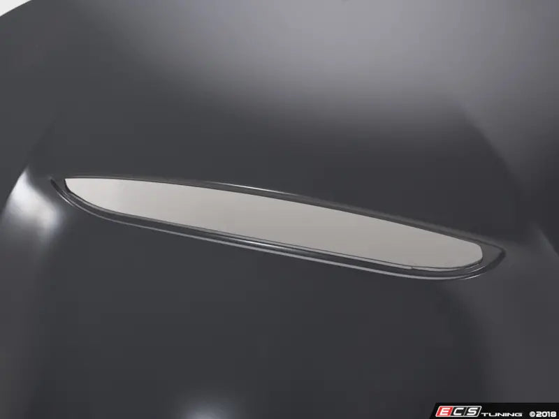 BMW Genuine OEM M4 GTS/CS Carbon Fiber Hood