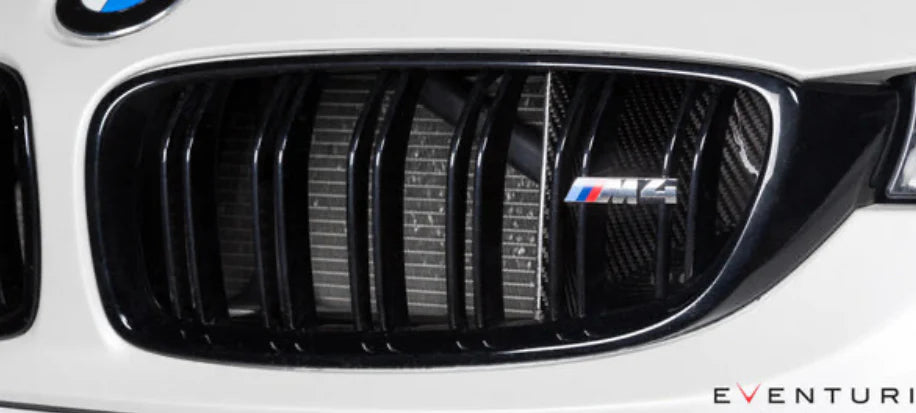 BMW F80 M3 & F82/F83 M4 Eventuri Black Carbon Fiber Air Scoop Set