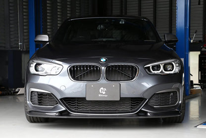 BMW F20 1-Series 3D Design LCI M-Sport Carbon Fiber Front Lip